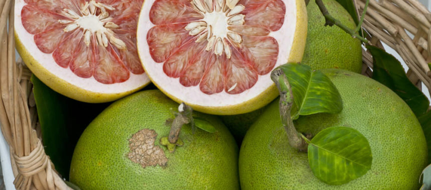 Что такое фрукт помело?