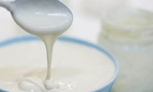 Дахи — домашний йогурт